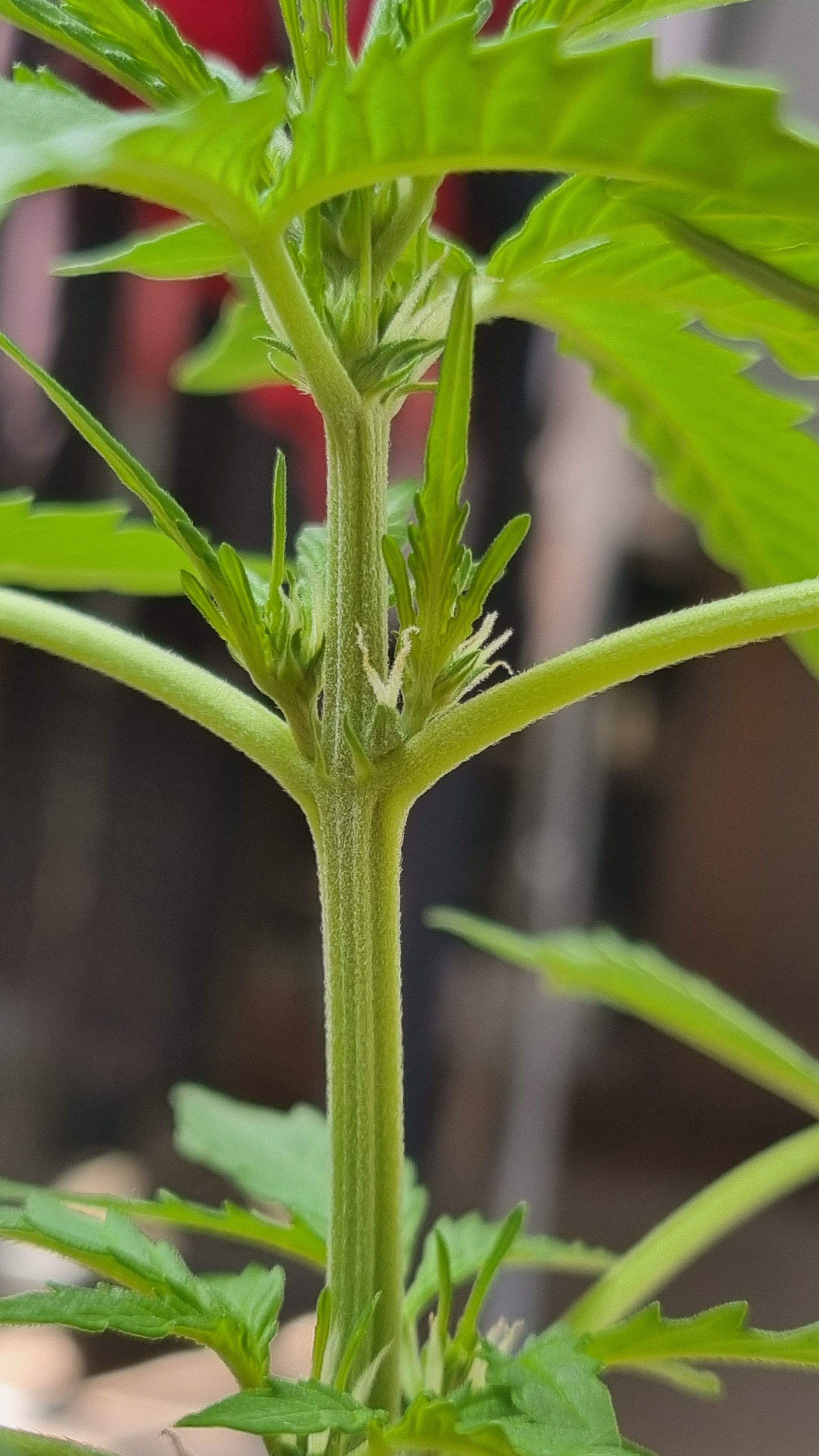 20230825_120838.jpg