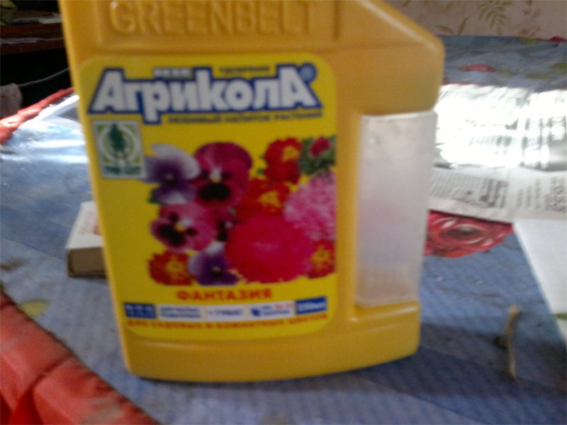 26 июля(9)
