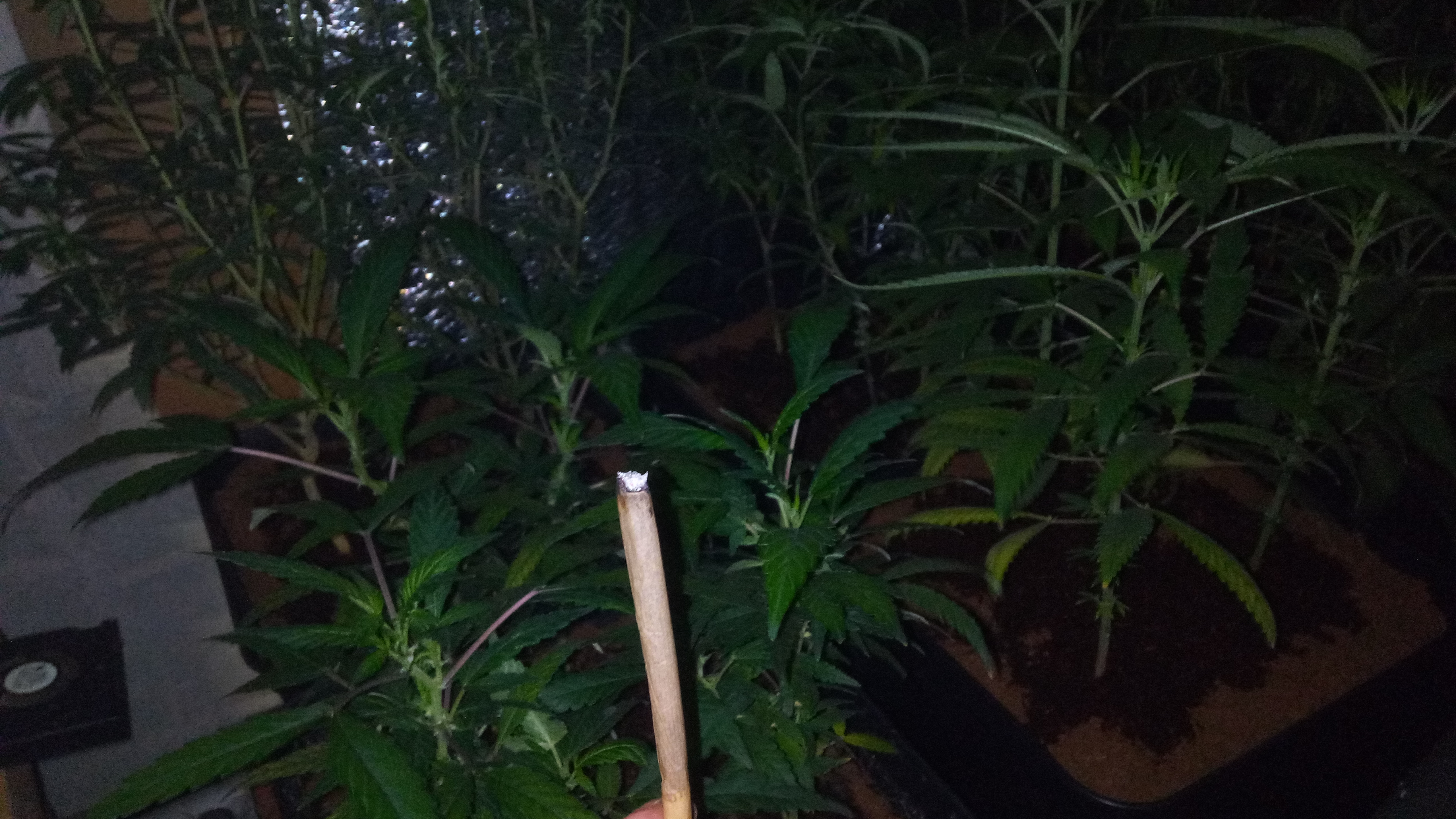 4:20