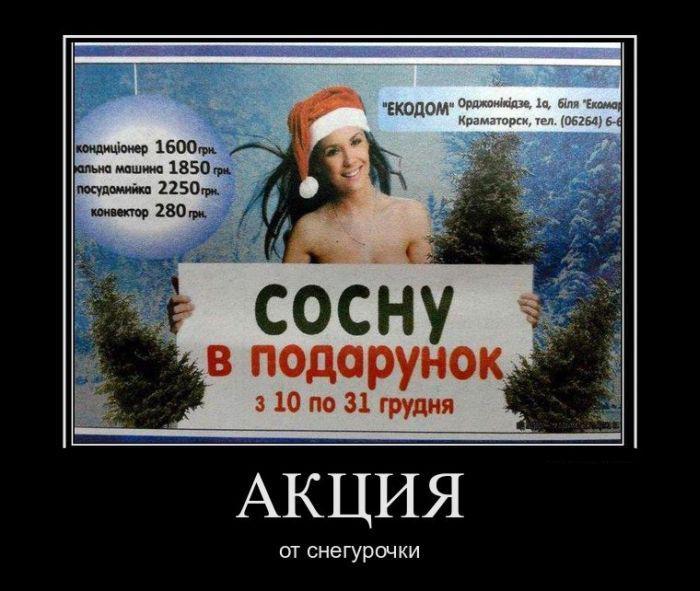 44714eeed9ed8995c