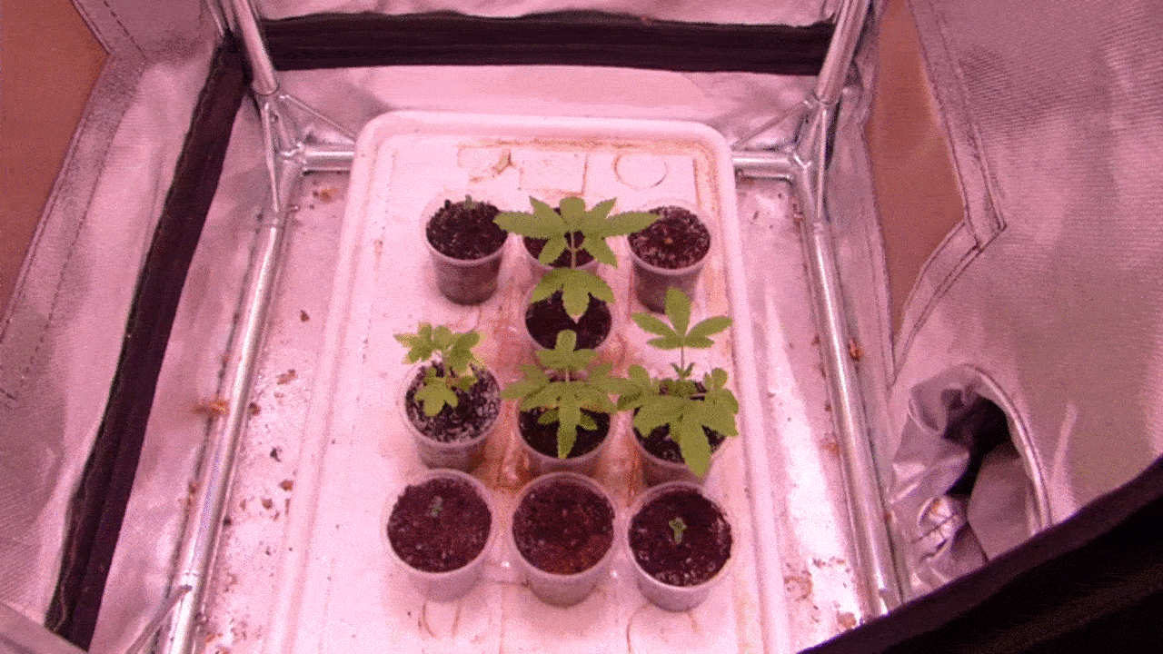 500w 2m2