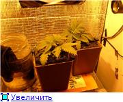 6a825da1ef65t