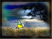 6b11267cb4b7520af5110db2a726f849