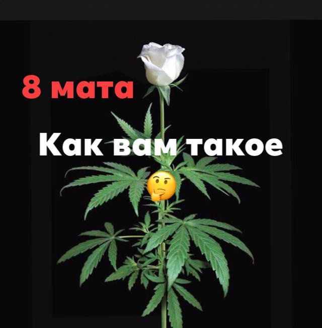6CB9935A-E920-44A9-A0F9-42A9A91A0BF7.jpeg