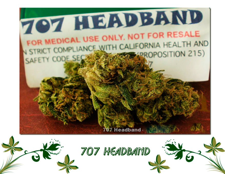 707 HEADBAND сорт