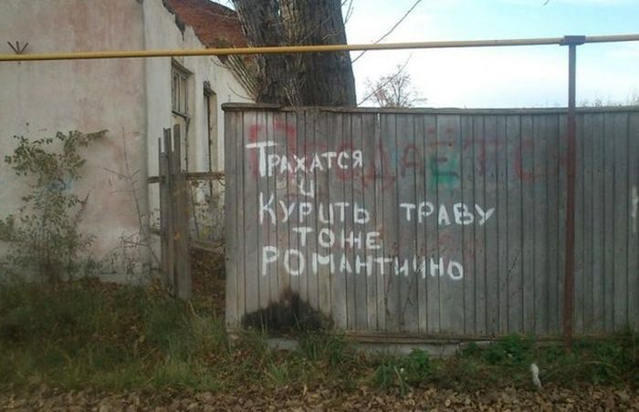 8239485vqc