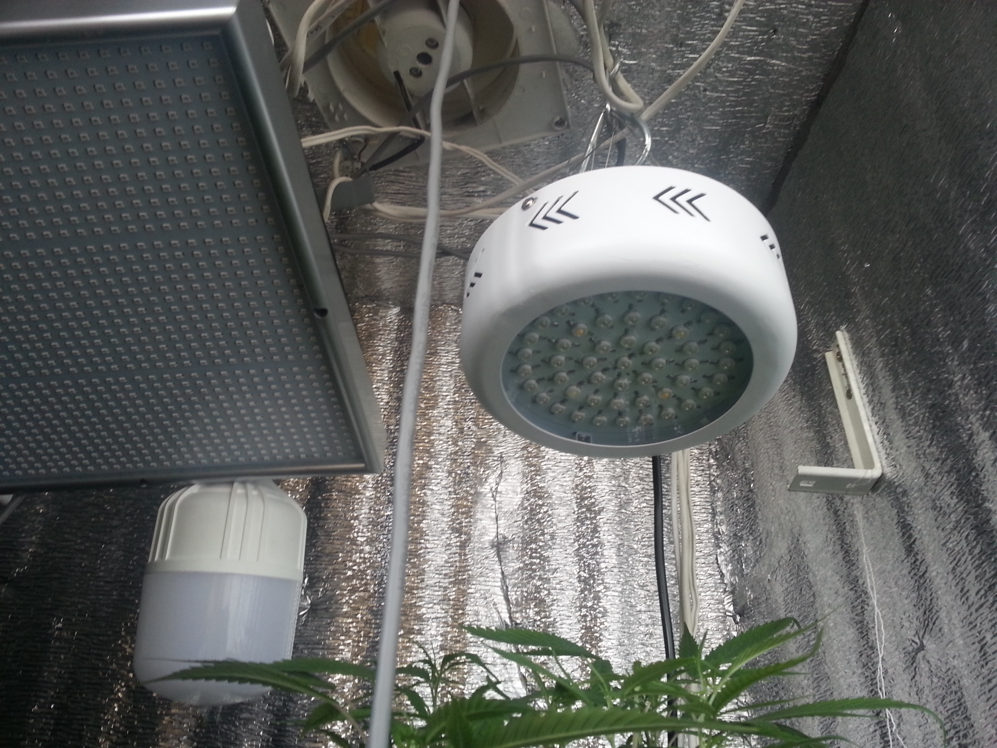96W ( True 50W ) UFO 32 LEDs Full Spectrum Grow Light.jpg