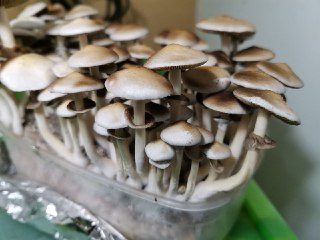 9bb281e7-6f26-443d-81e1-21d5977527e9.jpg