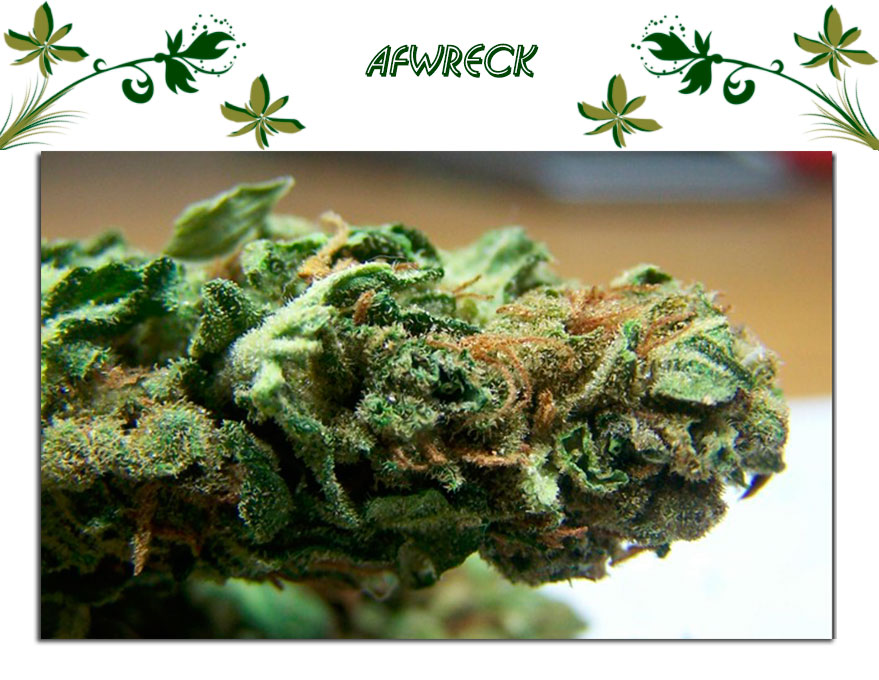 Afwreck