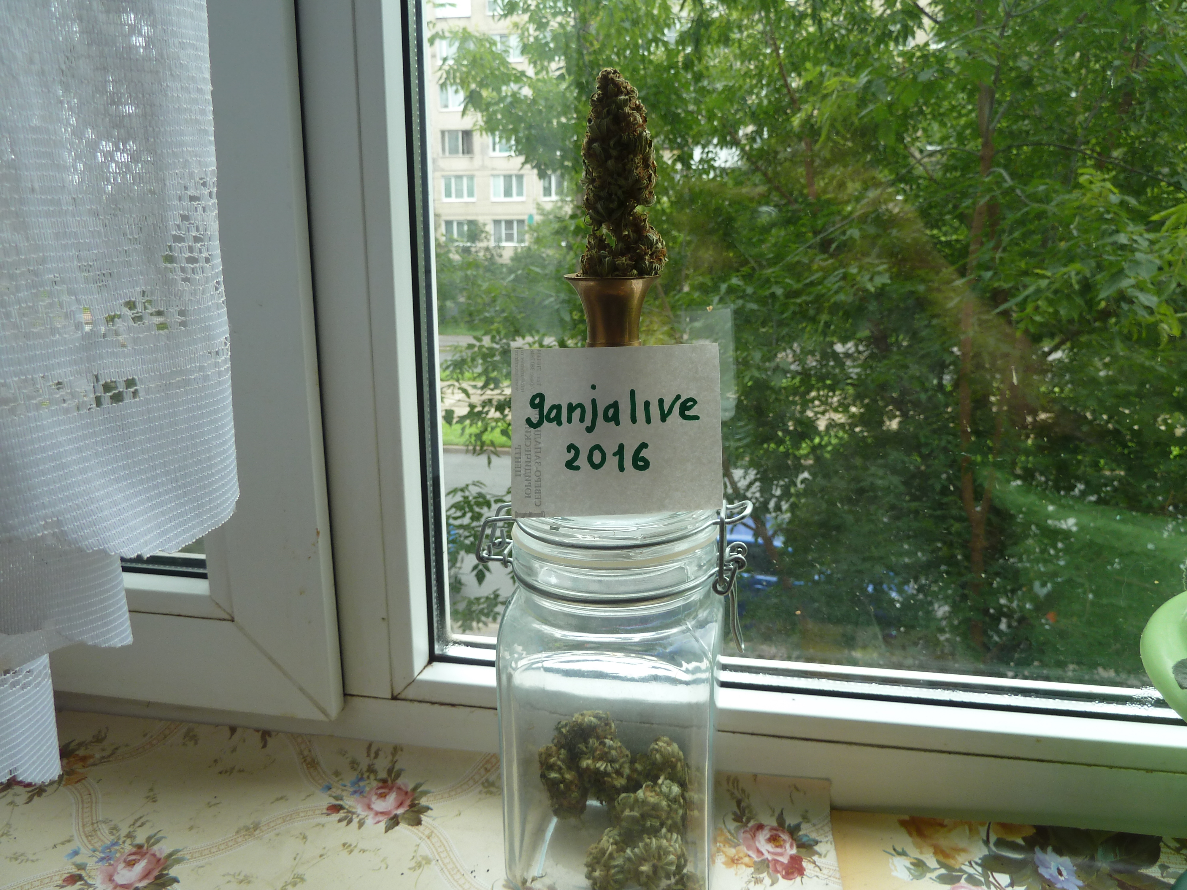 АК 47 16.07.16от (ganjaseeds)