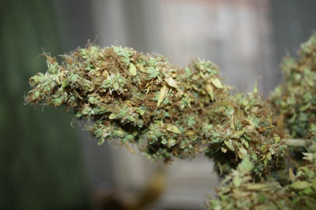 auto Blue Mystic