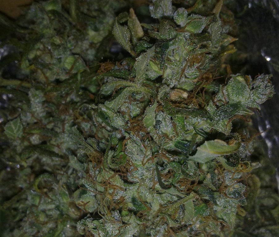 авто АК47 от Grass O Matic