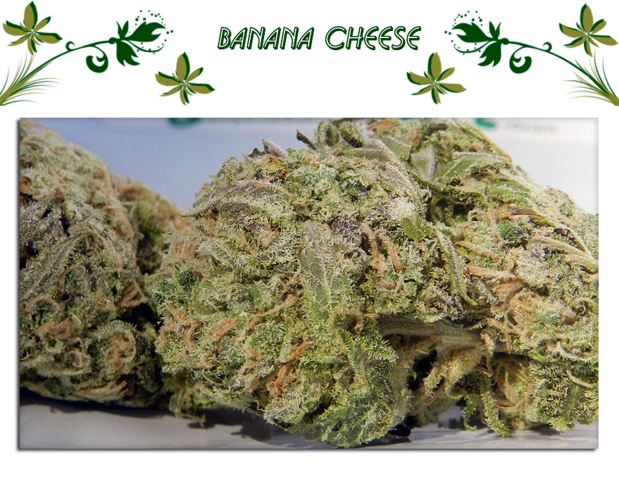 banana cheese