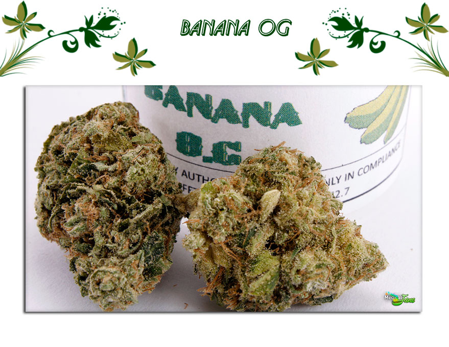 Banana OG