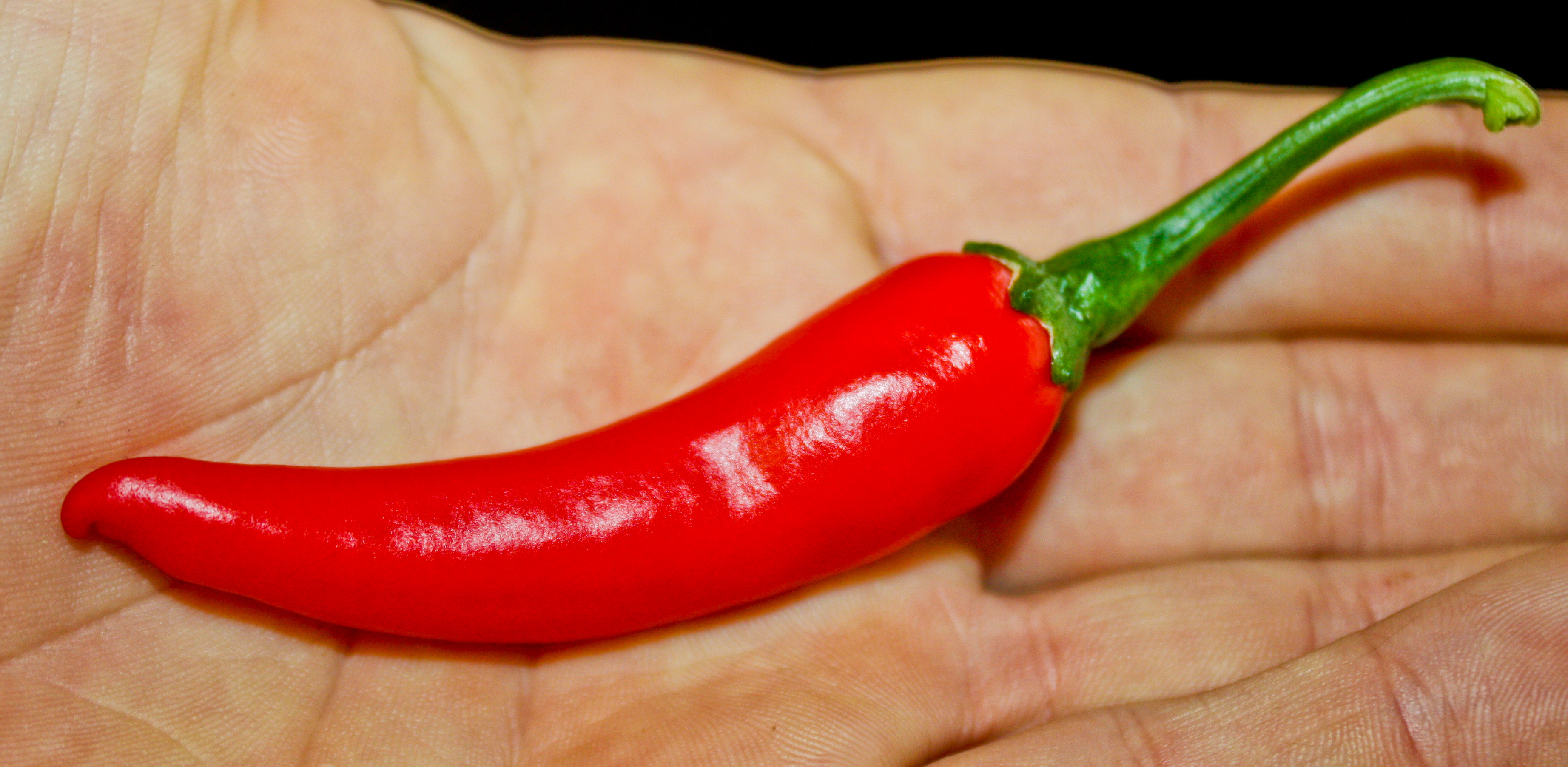 Basket of Fire