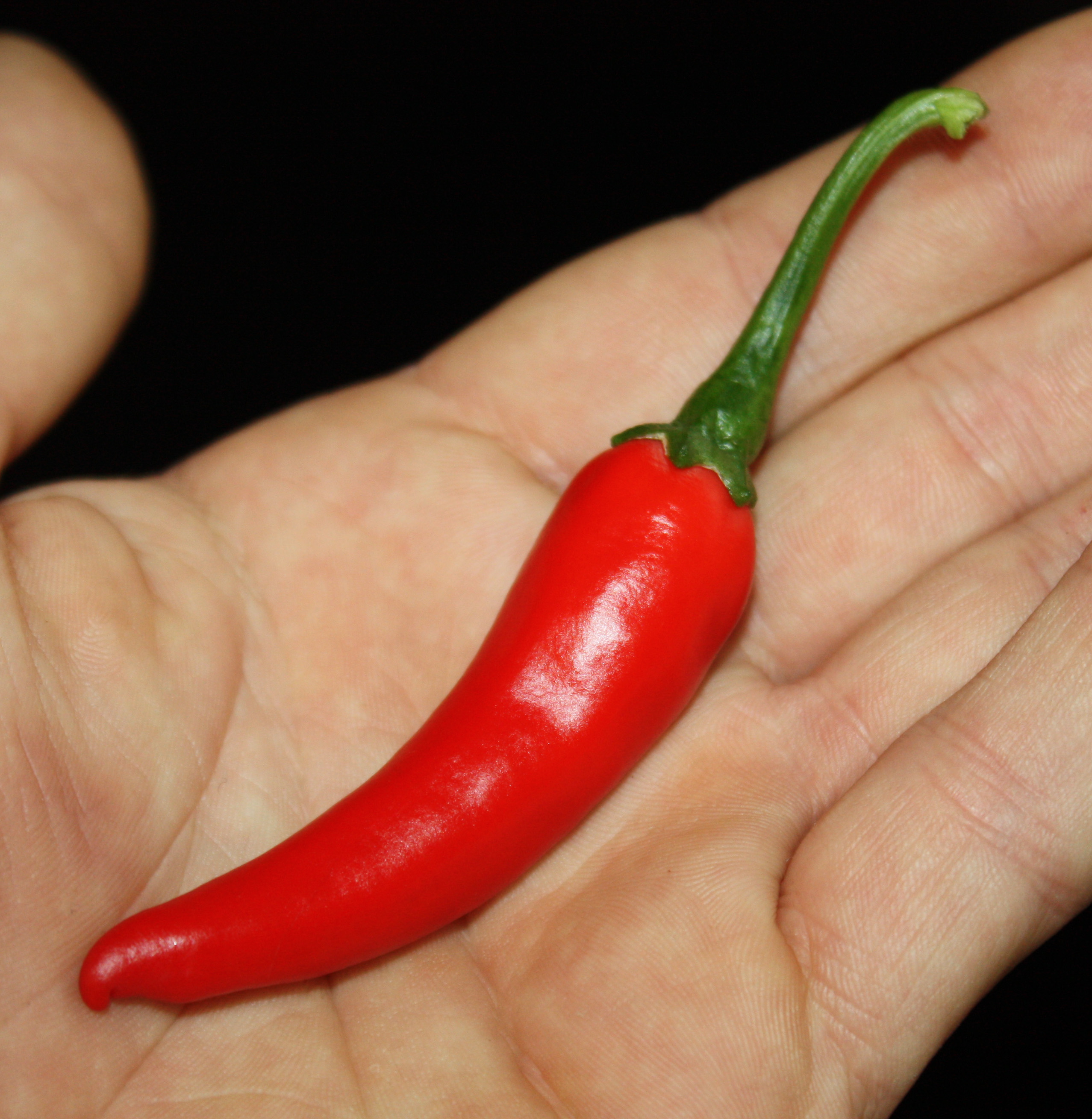 Basket of Fire