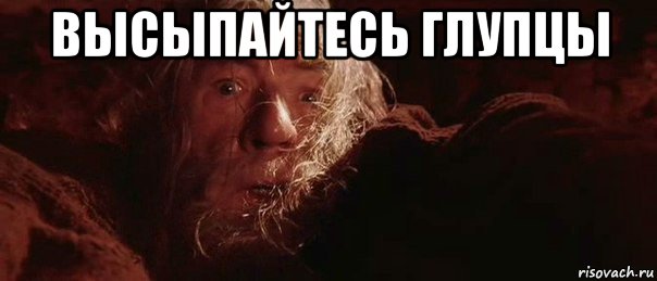 begite-glupcy_156955152_orig_.jpg