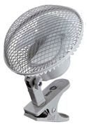 bfan1