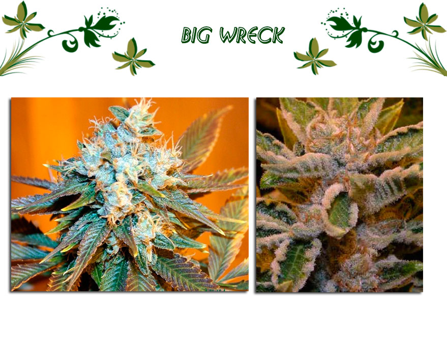 Big Wreck