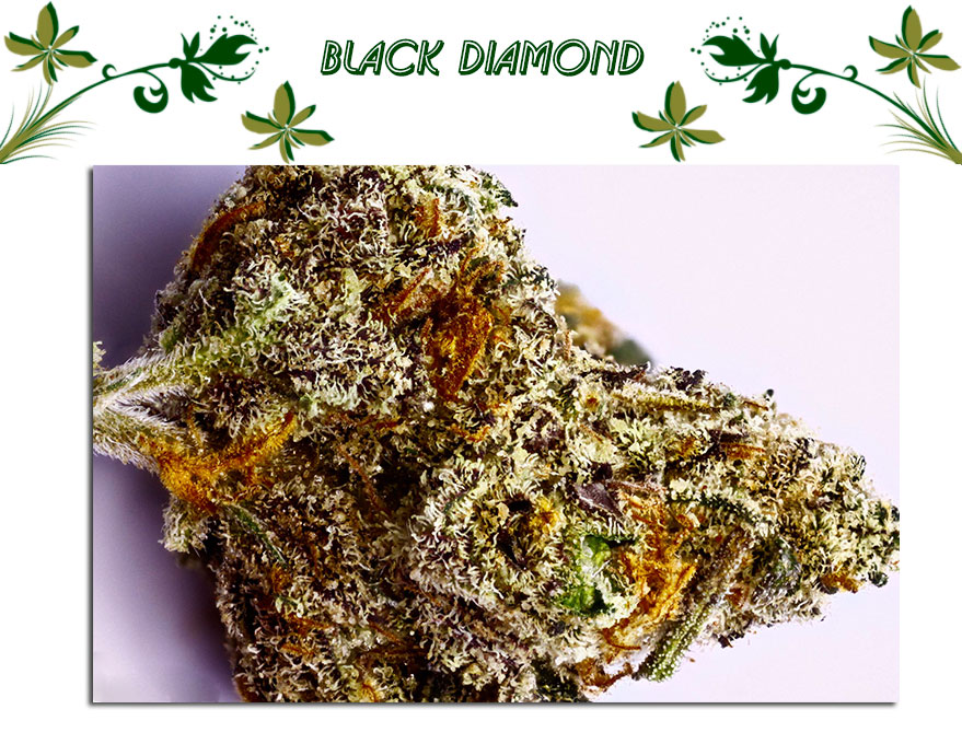 Black Diamond