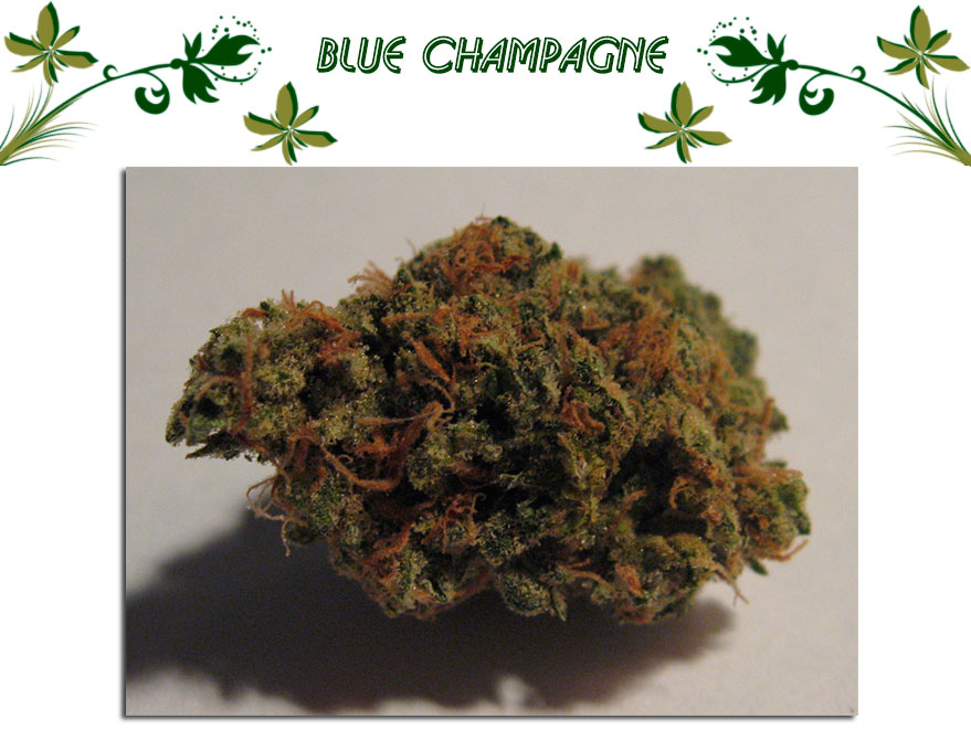 Blue Champagne