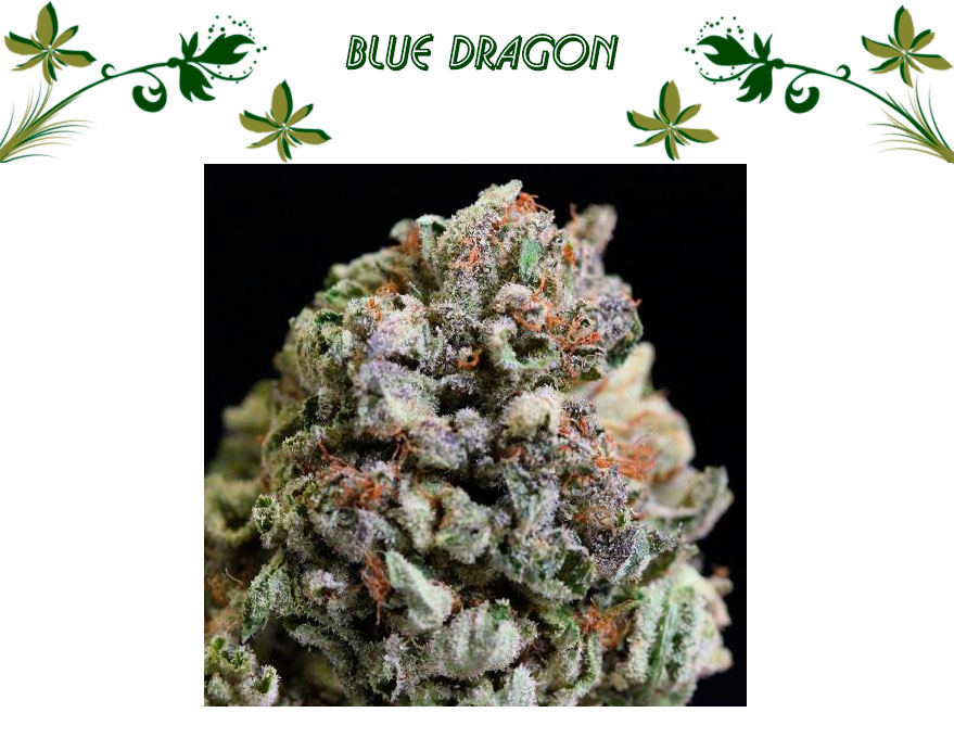 Blue Dragon