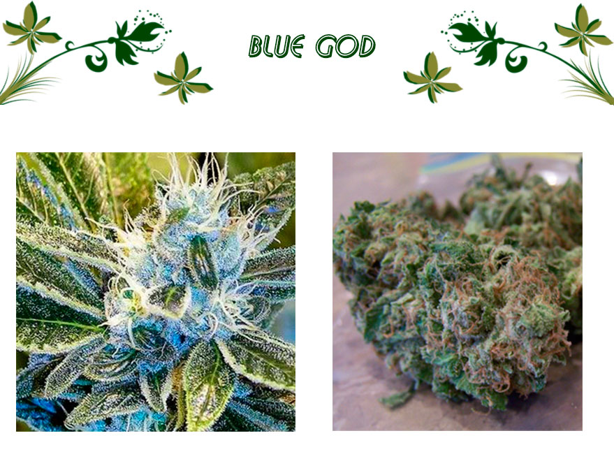 blue God