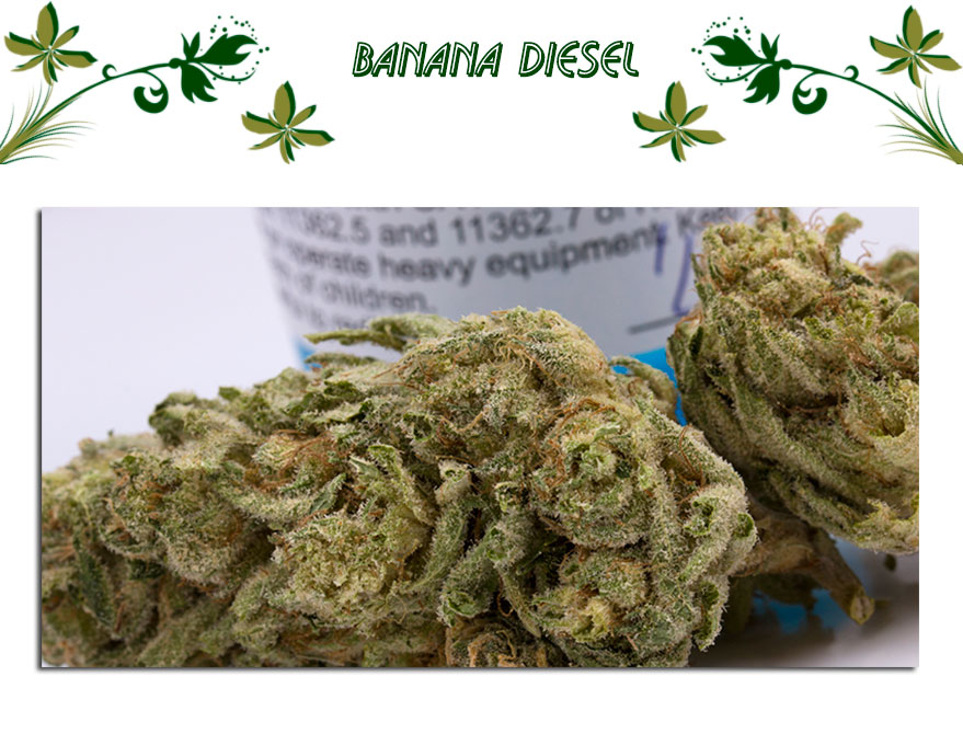 Blue Mystic