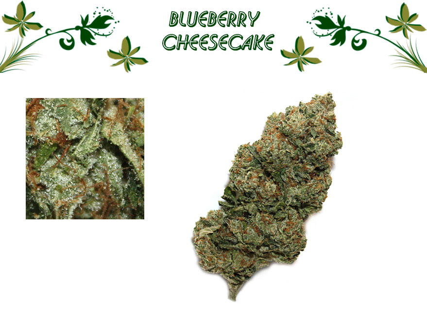 Blueberry Cheesecake