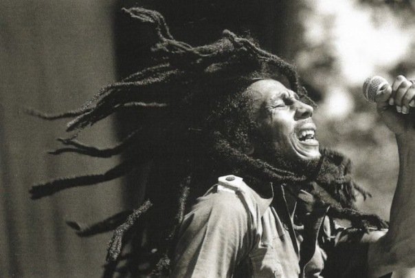 Bob