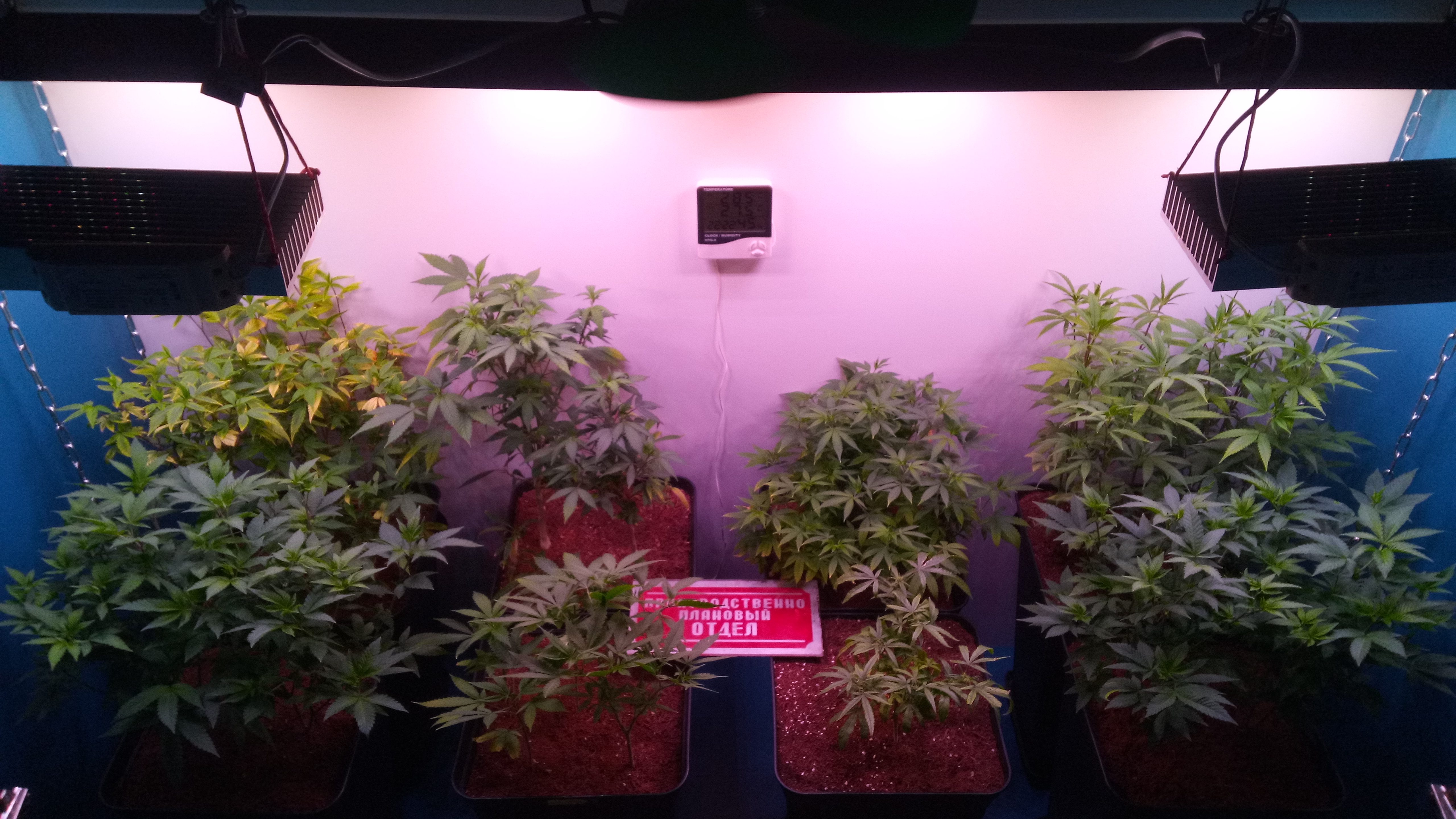 Box 1m2 300w