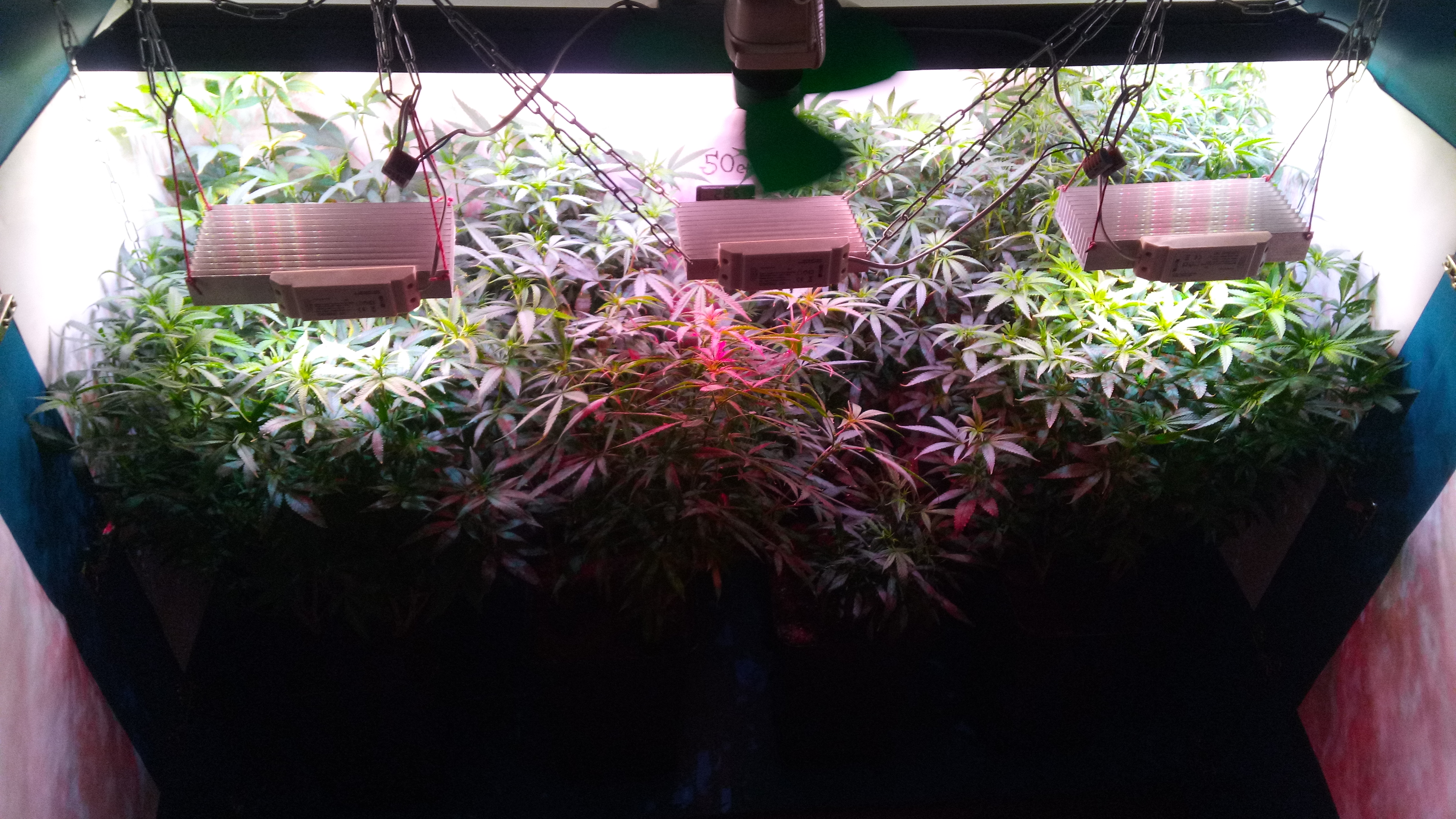 Box 1m2 7days 12\12