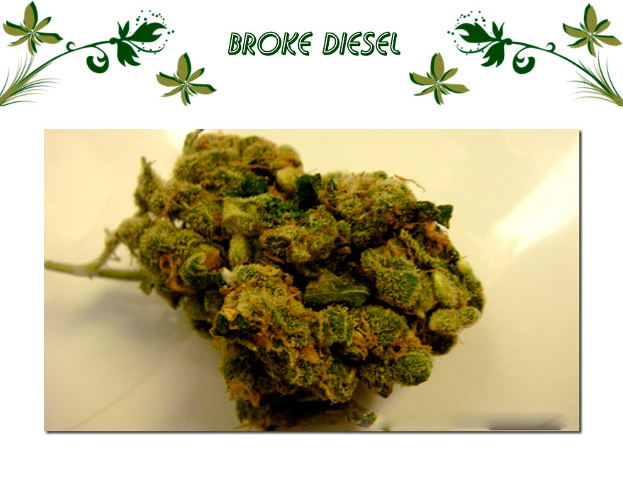 Broke Diesel