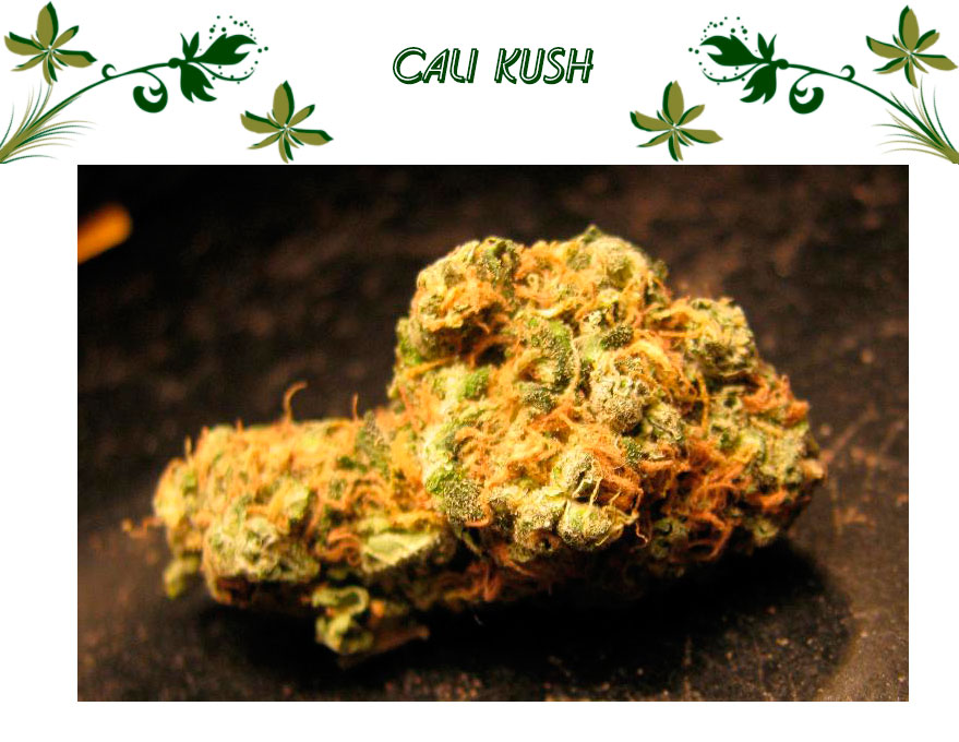 Cali Kush