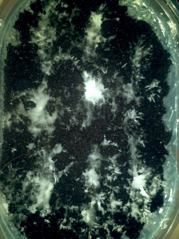 CameraZOOM 20121113154228395