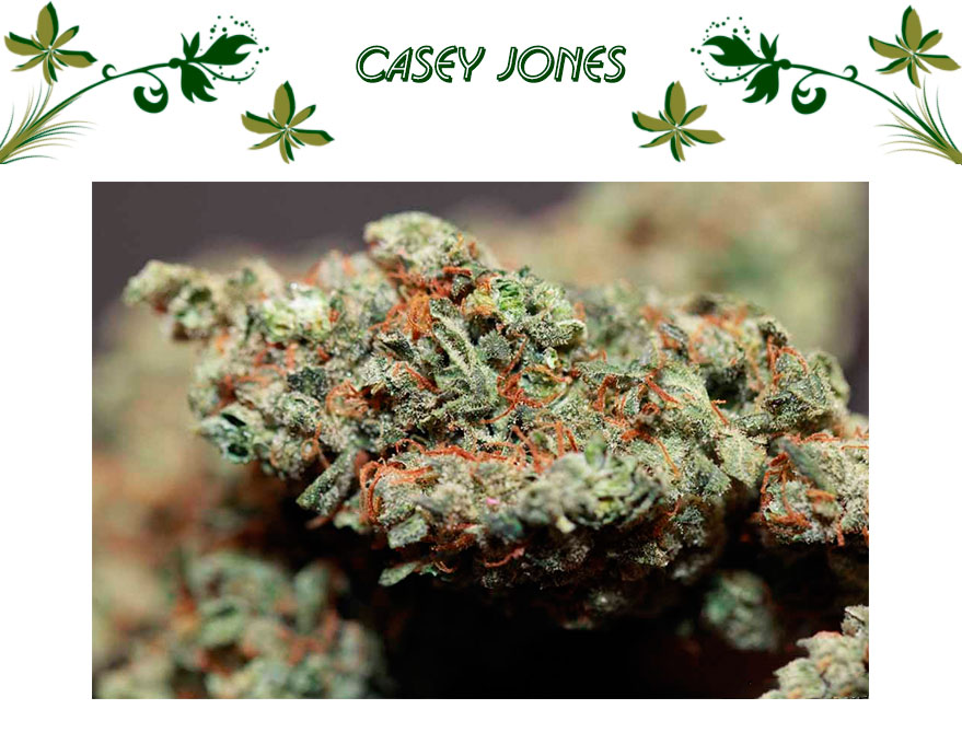 Casey Jones