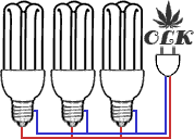 CFLcon
