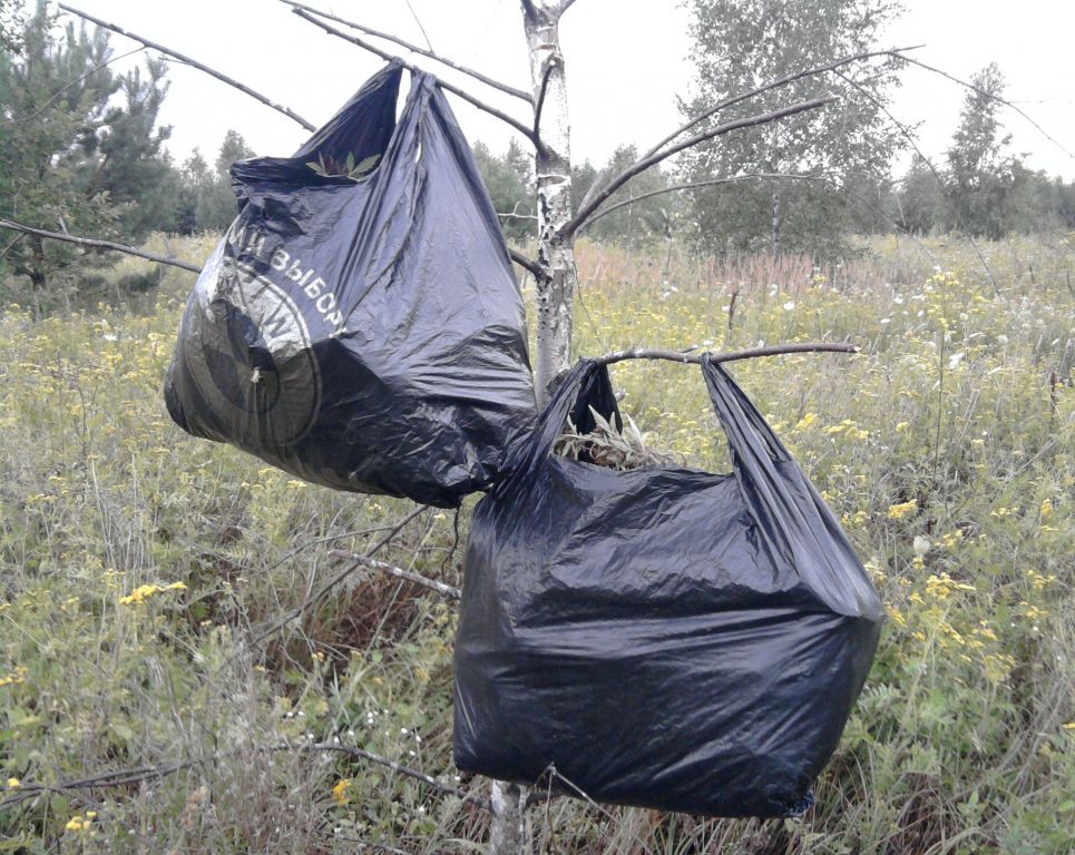 частичный харвест
