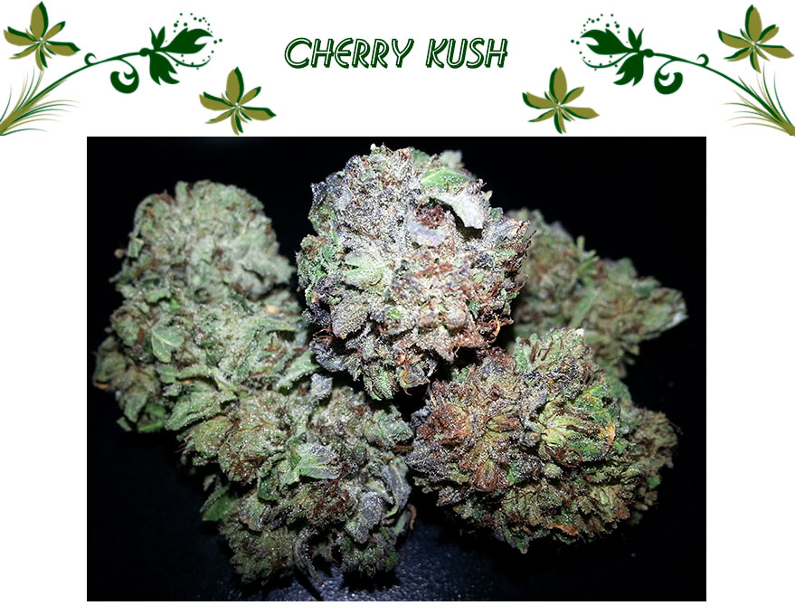 Cherry Kush