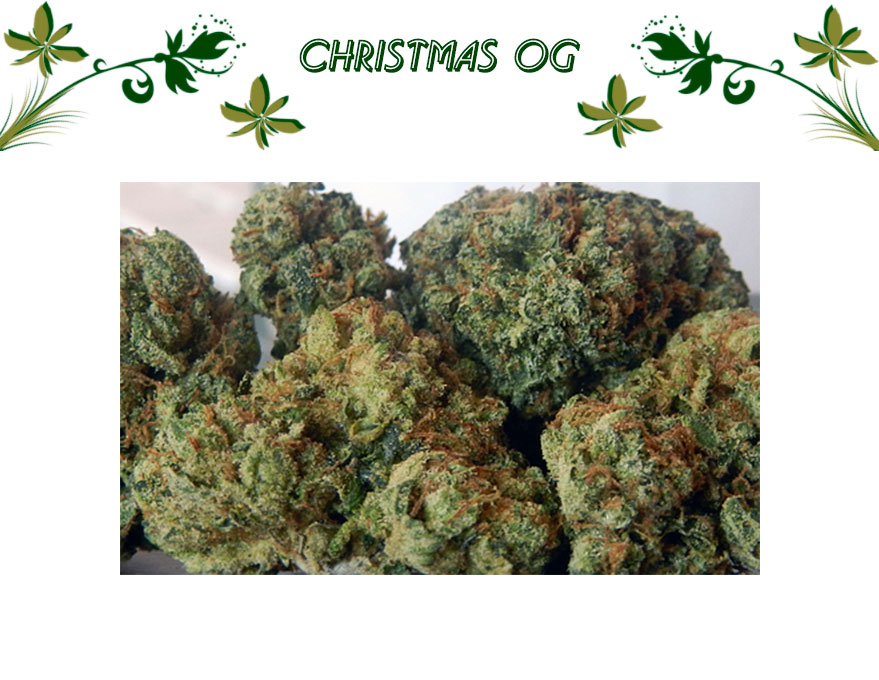 Christmas OG
