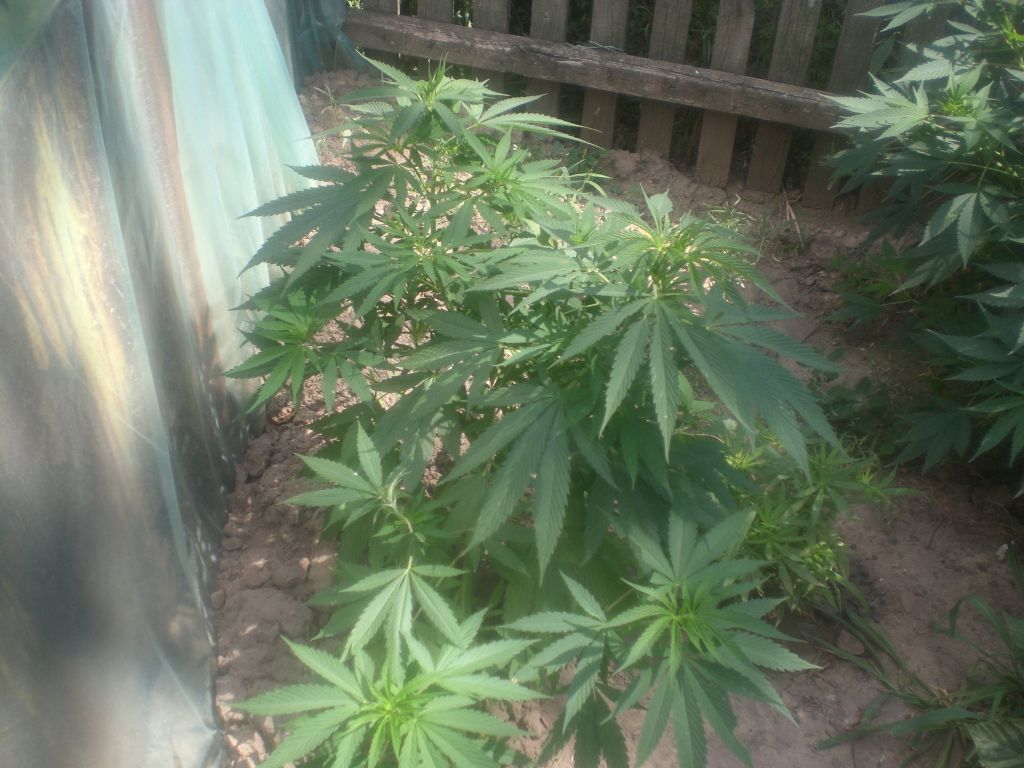 CIMG0060