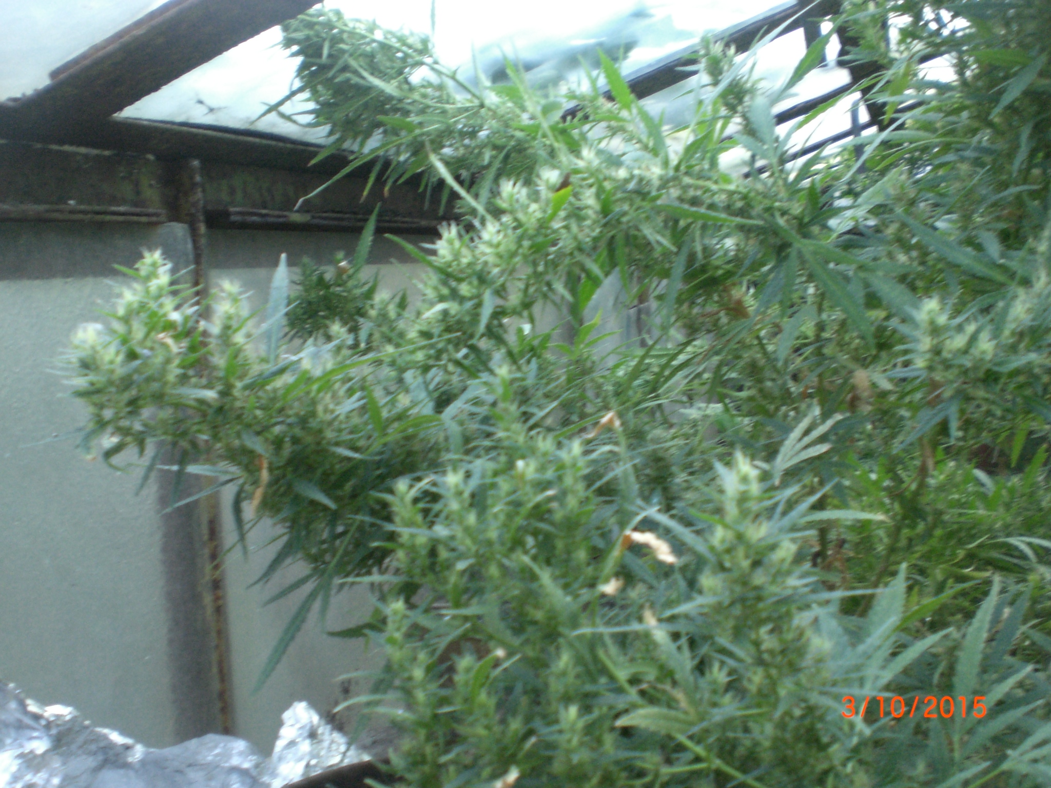 CIMG0062