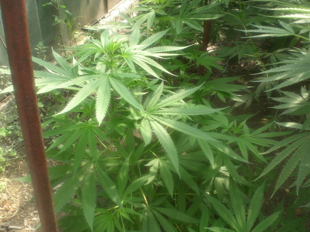 CIMG0062