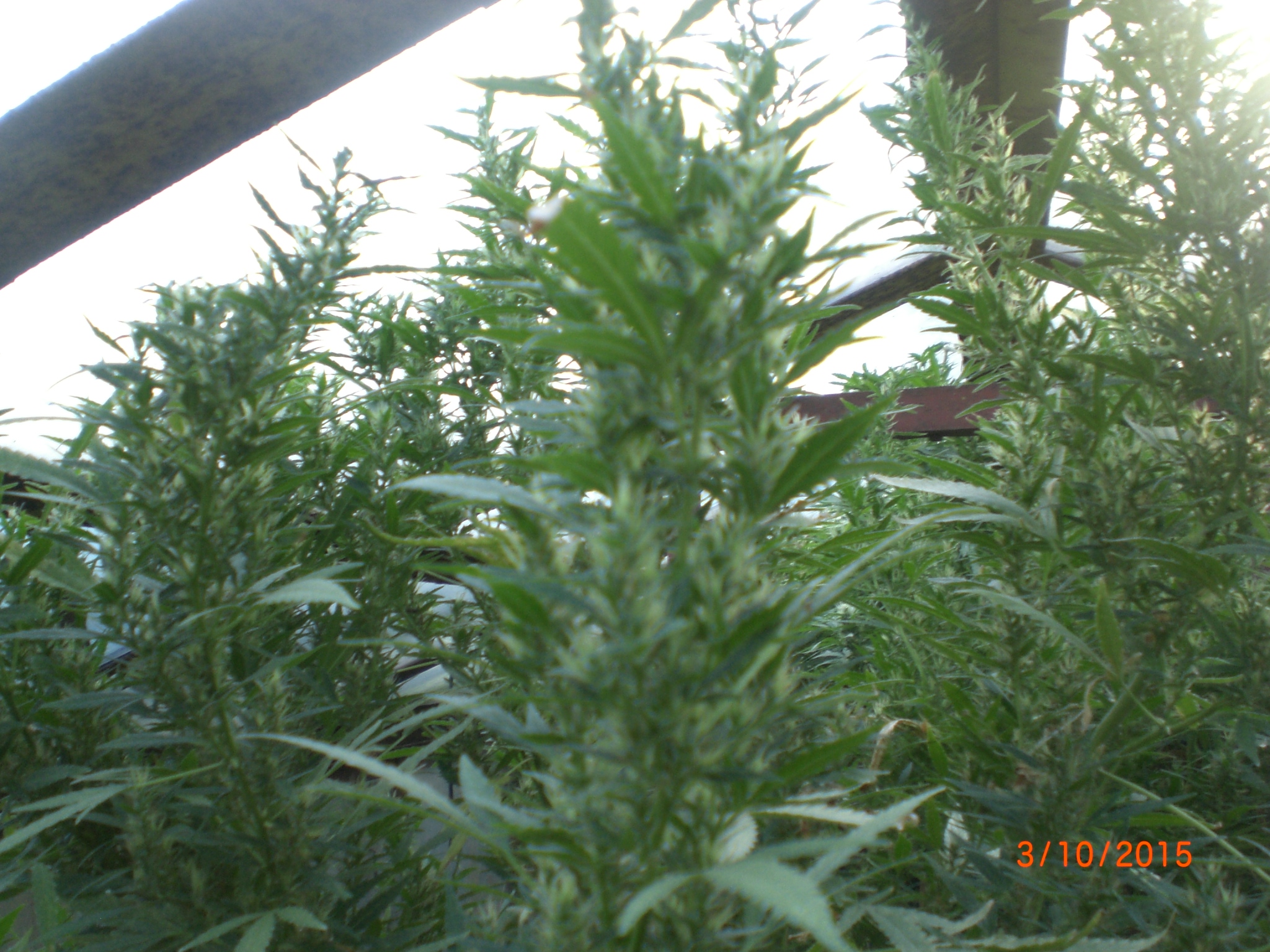 CIMG0063