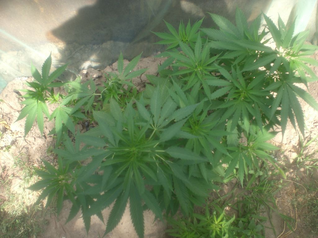 CIMG0064