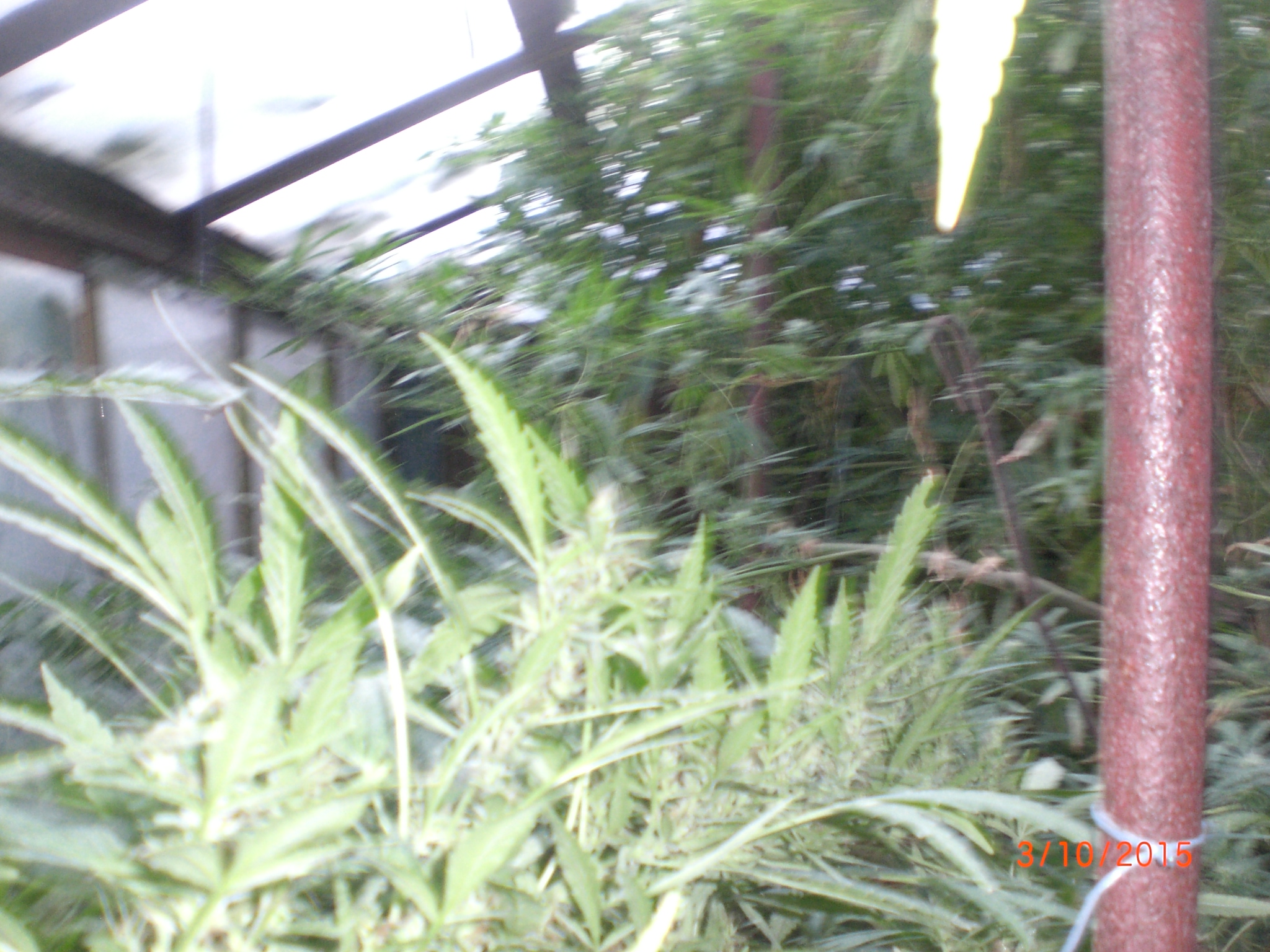 CIMG0065