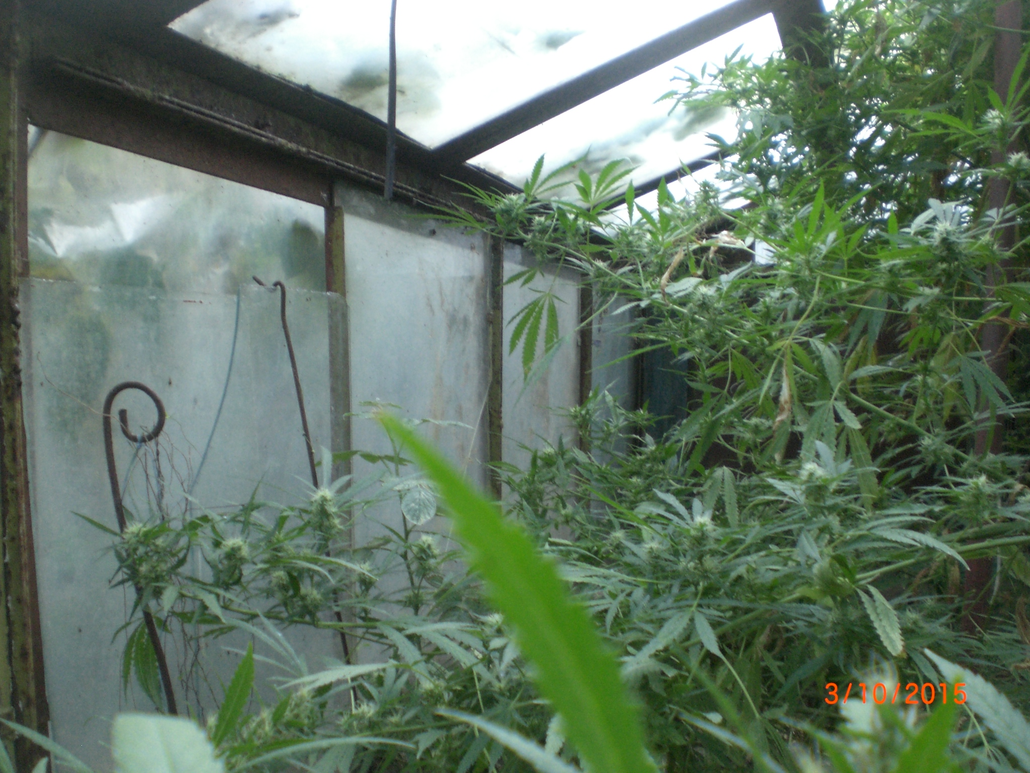 CIMG0067