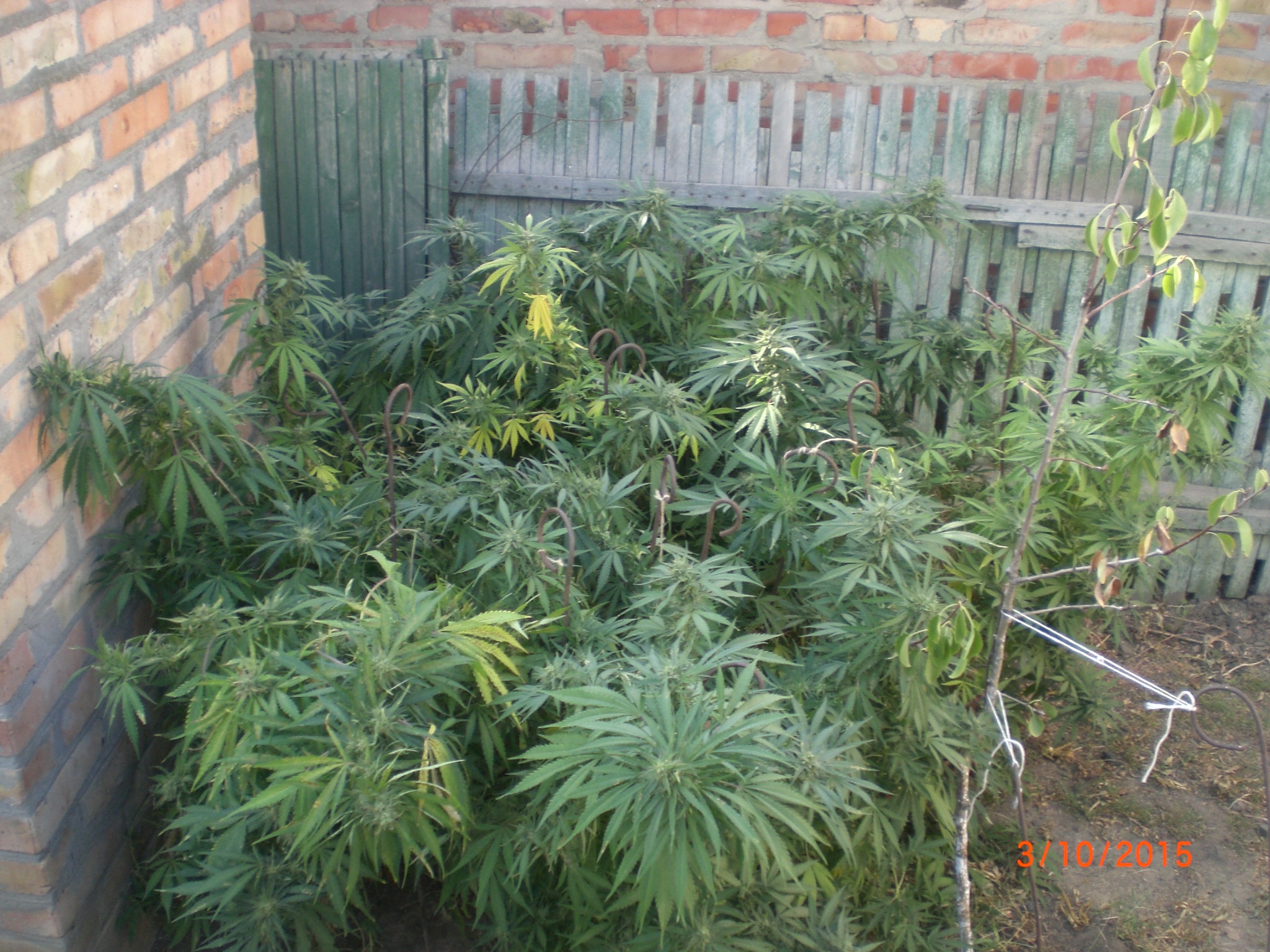 CIMG0068