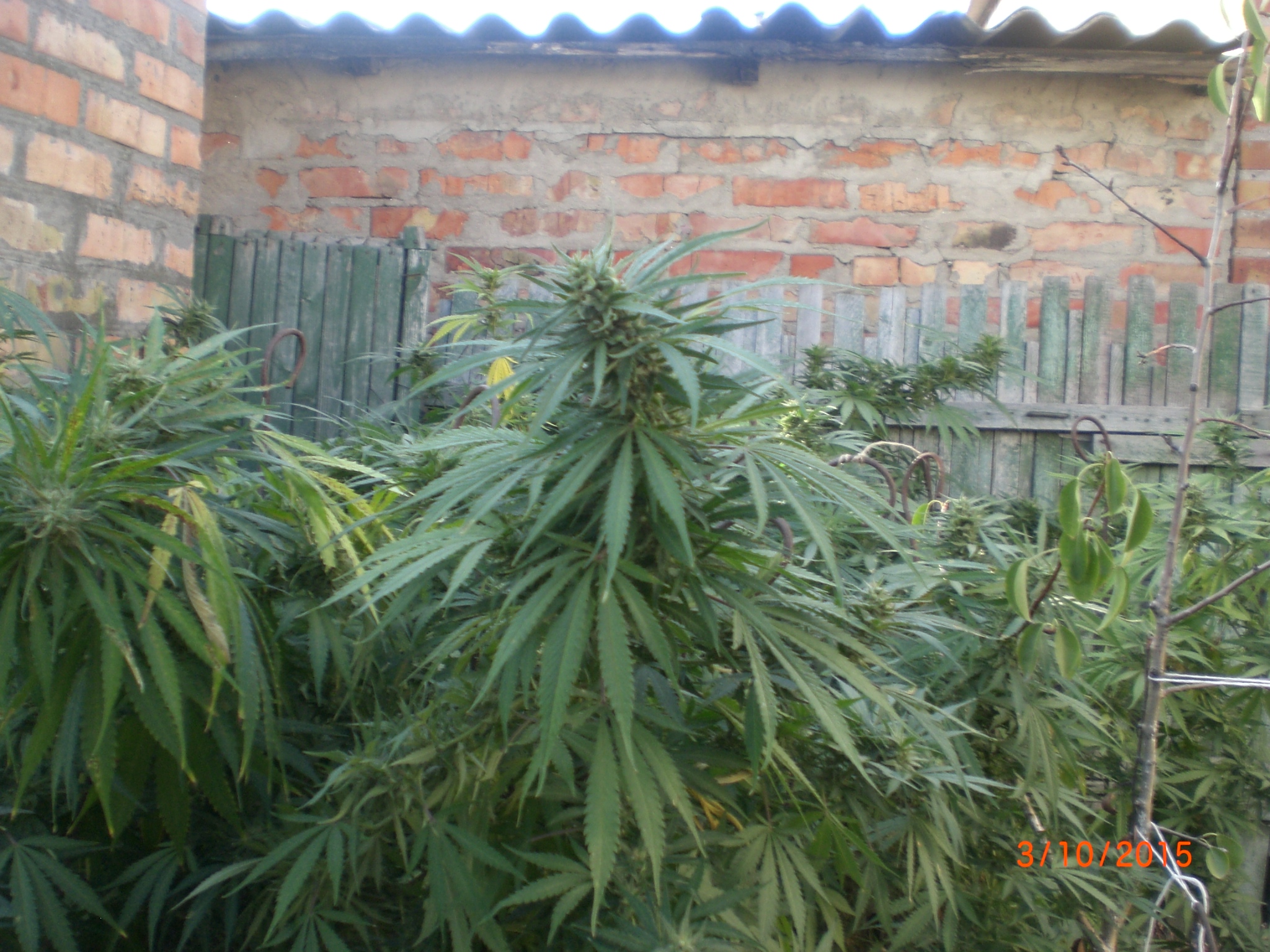 CIMG0069