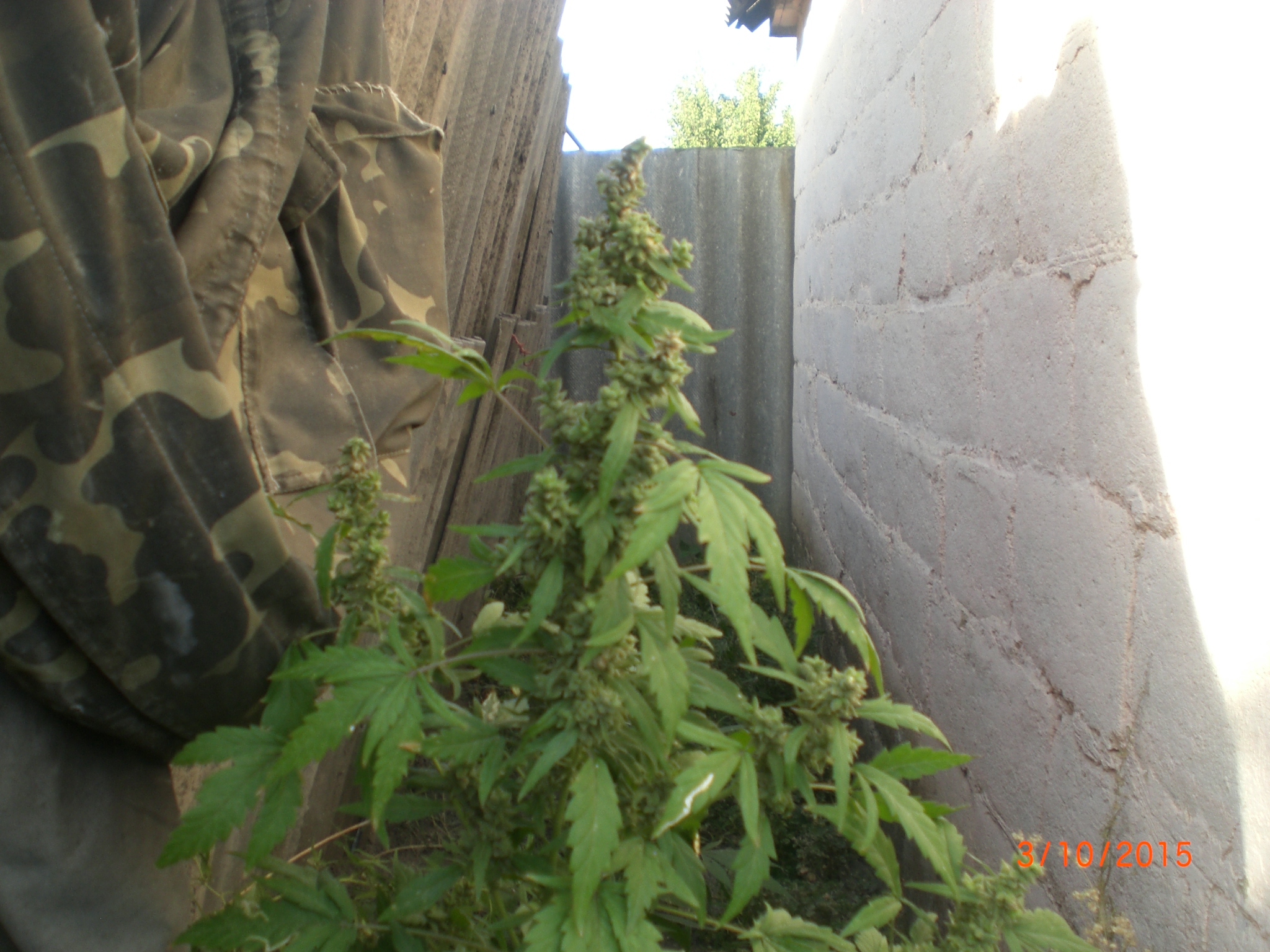 CIMG0071